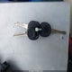 1GTEC14C58Z282859 2008 GMC Sierra 1500 Work Truck auction photo thumbnail 11