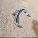 2GCEC19T311244120 2001 Chevrolet Silverado 1500 Ls auction photo thumbnail 12