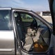 JN1DA31D53T500548 2003 Nissan Maxima Se auction photo thumbnail 5