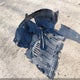 3N1AB8CV8NY223357 2022 Nissan Sentra Sv Xtronic Cvt auction photo thumbnail 12