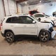 1C4PJMDN6KD133785 2019 Jeep Cherokee Limited 4X4 auction photo thumbnail 13