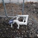 SHHFK7H67MU206069 2021 Honda Civic Ex auction photo thumbnail 12