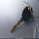 1GNDV33197D200541 2007 Chevrolet Uplander Lt auction photo thumbnail 11