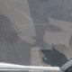5J6RW1H84KA006932 2019 Honda Cr-V Ex-L auction photo thumbnail 20