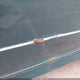 WVWCB5151NK026374 1992 Volkswagen Cabriolet auction photo thumbnail 12