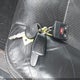 1FTFW1EV0AFA43884 2010 Ford F-150 Fx4/Harley-Davidson/King Ranch/Lariat/Platinum/Xl/Xlt auction photo thumbnail 11