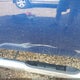 3GCPKSE79DG241017 2013 Chevrolet Silverado 1500 Lt auction photo thumbnail 6