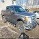1FTFW1ET7DFA66050 2013 Ford F-150 Xlt auction photo thumbnail 1
