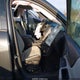 2GNAXHEV2K6300613 2019 Chevrolet Equinox Ls auction photo thumbnail 5