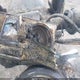 1HD1PG8127Y953633 2007 Harley-Davidson Flhrse3 auction photo thumbnail 11