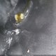 2B3KA43R76H391709 2006 Dodge Charger auction photo thumbnail 12