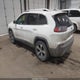 1C4PJMDX7KD276570 2019 Jeep Cherokee Limited 4X4 auction photo thumbnail 3