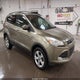 1FMCU9G90DUD06359 2013 Ford Escape Se auction photo thumbnail 1