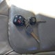 1G6KD54Y25U114871 2005 Cadillac Deville Livery auction photo thumbnail 11