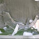 4S4BTAFC7R3233629 2024 Subaru Outback Premium auction photo thumbnail 12