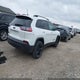 1C4PJMMB7PD100422 2023 Jeep Cherokee Altitude Lux 4X4 auction photo thumbnail 4