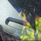 3C3EY45X55T335801 2005 Chrysler Pt Cruiser auction photo thumbnail 12