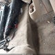 1J4FA59S61P366265 2001 Jeep Wrangler Sahara auction photo thumbnail 8