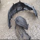 4T1BF1FK2EU783260 2014 Toyota Camry Se auction photo thumbnail 11