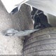 3KPF44AC9PE598623 2023 Kia Forte Gt auction photo thumbnail 6