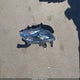 1N4AA6AP2JC381193 2018 Nissan Maxima 3.5 Sv auction photo thumbnail 12