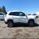 1C4PJLLB1LD614448 2020 Jeep Cherokee Latitude Plus Fwd auction photo thumbnail 13
