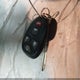 1G4HP57237U138570 2007 Buick Lucerne Cx auction photo thumbnail 11