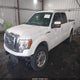 1FTFW1EV8AFA68418 2010 Ford F-150 Fx4/Harley-Davidson/King Ranch/Lariat/Platinum/Xl/Xlt auction photo thumbnail 2