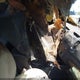 KNAFU4A24B5354581 2011 Kia Forte Ex auction photo thumbnail 5