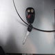1GKDT13S762225528 2006 GMC Envoy Slt auction photo thumbnail 11
