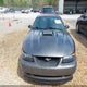 1FAFP42R53F429408 2003 Ford Mustang Mach 1 auction photo thumbnail 6