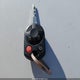 1FADP3F27DL132111 2013 Ford Focus Se auction photo thumbnail 11