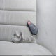 4JGBB86E86A108014 2006 Mercedes-Benz Ml 350 4Matic auction photo thumbnail 11