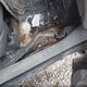 1MEFM55S65A630482 2005 Mercury Sable Ls auction photo thumbnail 13