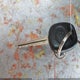 2T1BR32E05C492678 2005 Toyota Corolla Le auction photo thumbnail 11