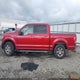 1FTEW1CF1FKF19856 2015 Ford F-150 Xlt auction photo thumbnail 14