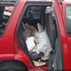1GNCS13W71K124275 2001 Chevrolet Blazer Ls auction photo thumbnail 8