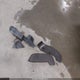 5GAKVBKD0EJ216746 2014 Buick Enclave Leather auction photo thumbnail 12