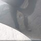 1FMCU9GX8GUB86099 2016 Ford Escape Se auction photo thumbnail 6