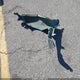 1NXBR12E0XZ246557 1999 Toyota Corolla Ve auction photo thumbnail 12