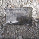 WDDKJ7DB6CF150616 2012 Mercedes-Benz E 550 auction photo thumbnail 12