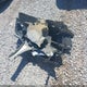 3N1AB8DV3MY200971 2021 Nissan Sentra Sr Xtronic Cvt auction photo thumbnail 12