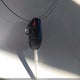 1FBAX2XMXGKA63436 2016 Ford Transit-350 Xl auction photo thumbnail 11
