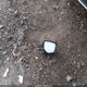 1HGCR2F37DA211178 2013 Honda Accord Lx auction photo thumbnail 12