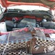 5TFAY5F18KX828849 2019 Toyota Tundra Platinum 5.7L V8 auction photo thumbnail 10