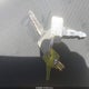 ZDM1TB8S5XB000124 1999 Ducati Monster auction photo thumbnail 11