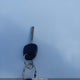 KMHCT4AE2EU614209 2014 Hyundai Accent Gls auction photo thumbnail 11