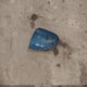 JF2SKAFC5MH544710 2021 Subaru Forester Premium auction photo thumbnail 12