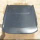 1FMDE7BH3RLB38086 2024 Ford Bronco Big Bend auction photo thumbnail 19