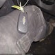 3GNAXUEG7RS202540 2024 Chevrolet Equinox Awd Lt auction photo thumbnail 11